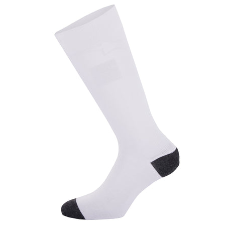 Alpinestars ZX v4 Socks - White