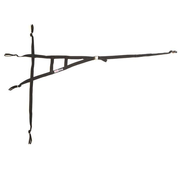 RaceQuip Roll Cage Net - Black