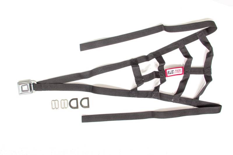 RJS USAC Roll Cage Net - Black