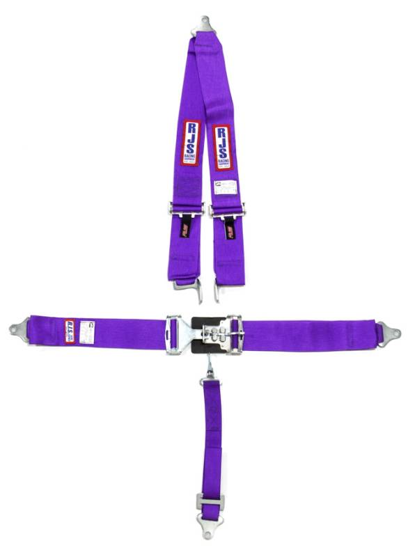 RJS Racing Equipment 1125408 V-Type Latch and Link Harness – Pit Stop USA