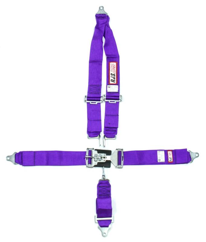 RJS Racing Equipment 1126208 V-Type Latch and Link Harness – Pit Stop USA