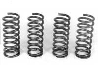 Coil-Over Springs - Chassis Engineering Coil-Over Springs