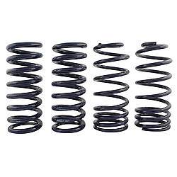 Ford Mustang (3rd Gen) Springs and Components - Ford Mustang (3rd Gen) Coil Springs