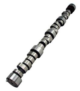 Camshafts and Valvetrain - Camshafts and Components