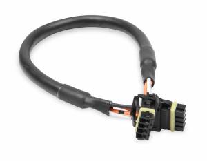 Engine Wiring Harnesses - CAN Wiring Harness