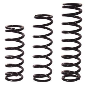 Coil-Over Springs - Integra Coil-Over Springs
