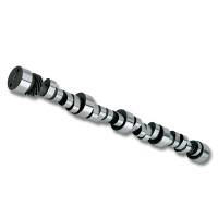 Comp Cams - COMP Cams BB Chevy Solid Roller Cam 313GR-10