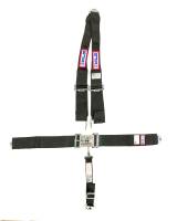 RJS Racing Equipment - RJS Racing Equipment 5 Point Harness Latch and Link SFI-16.1 64" Length - Pull Down Adjust
