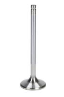 Airflow Research (AFR) - AFR Exhaust Valve - LS1 - 1.600 in Head - 8 mm Stem - 4.907 in Long - Stainless - GM LS-Series