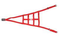 RJS Racing Equipment - RJS USAC Roll Cage Net - Red