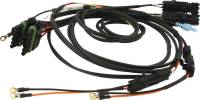 QuickCar Racing Products - QuickCar Dual Ignition Box/Quickcar Switch Panels Wiring Harness
