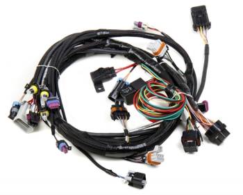 Holley Performance Products - Holley LS1 Main Harness for HP EFI & Dominator EFI