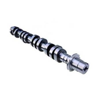 Ford Racing - Ford Racing Camshaft 4.6L 3-Valve