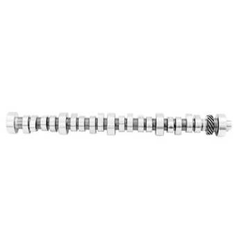 Ford Racing - Ford Racing 302 Hydraulic Roller Camshaft