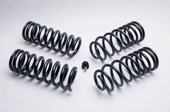 Ford Racing - Ford Racing Coil Spring Kit 94-00 Mustang