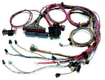 Painless Performance Products - Painless Performance 1998-2002 GM LS-1 Harness Std. Length