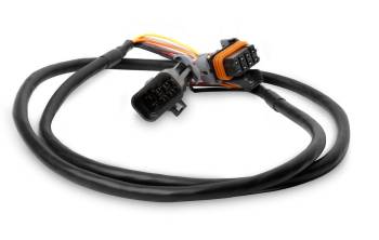 Holley EFI - Holley EFI Holley EFI EFI to O2 Sensor Data Transfer Cable - 4 Ft. Long