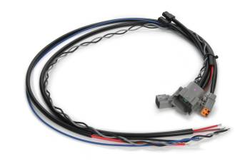 MSD - MSD Midget Wire Harness