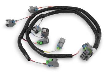 Holley EFI - Holley EFI EFI Wiring Harness - EV6/USCAR Style Injectors - Holley EFI - Small Block Ford