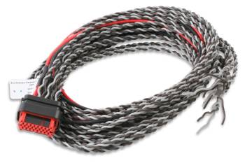 MSD - MSD Replacement Ignition Wiring Harness - Holley EFI Systems