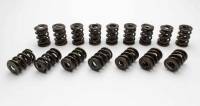 Manley Performance - Manley 1.580 Dual Valve Springs - Polished - Image 1