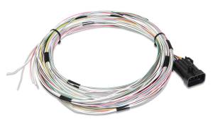 Ignitions & Electrical - Wiring Harnesses - Transmission Wiring Harnesses