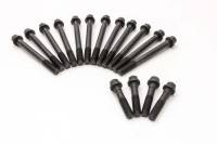 Manley Performance - Manley BB Chevy Head Bolts (1 Head) - Image 1