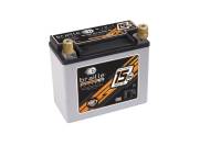 Braille Battery - Braille B2015 No-Weight Racing Battery