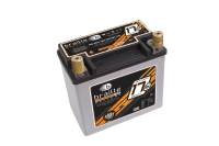 Braille B2317 No-Weight Racing Battery