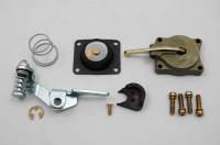 AED Complete 50cc Accelerator Pump Kit For Holley Carb