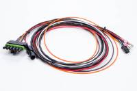 Ignition Systems and Components - Ignition System Wiring Harnesses - MSD - MSD Wiring Harness