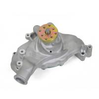 Weiand Action +Plus Water Pump - Satin Finish