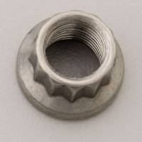 ARP Stainless Steel 12 Point Nut - 3/8-24 (1)