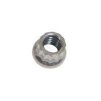ARP Stainless Steel 12 Point Nut - 1/4-20 (1)