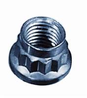 ARP Stainless Steel 12 Point Nut - 3/8-16 (1)