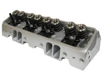 Cylinder Heads and Components - Cylinder Heads - Airflow Research (AFR) - AFR 195cc LT1/LT4 Eliminator Street Aluminum Cylinder Heads - Small Block Chevrolet