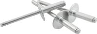 Hardware and Fasteners - Rivets and Components - Allstar Performance - Allstar Performance 3/16" Large Aluminum Head Rivets - Silver - (250 Pack) - Aluminum Mandrel