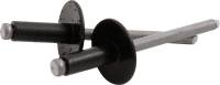 Hardware and Fasteners - Rivets and Components - Allstar Performance - Allstar Performance 3/16" Large Head Rivets - Black - (250 Pack) - Steel Mandrel