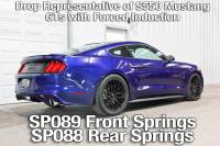 BMR Suspension - BMR Suspension Lowering Springs - Front - Performance Version  - Red - 2015-17 Mustang - Image 4