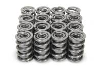 Valve Springs and Components - Valve Springs - Isky Cams - Isky Cams 1.600 Dual RAD Valve Springs