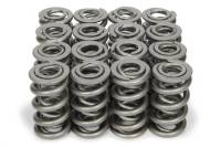 Valve Springs and Components - Valve Springs - PAC Racing Springs - PAC 1300 Series Dual Spring Valve Springs - 1015 lb./in Spring Rate - 1.230" Coil Bind - 1.550" OD (Set of 16)
