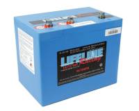 Lifeline Batteries 16 Volt 3 Post AGM Battery - 16 Volt or 16/12 Volt Battery