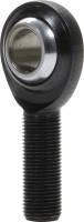 Allstar Performance Pro Series Rod End - 3/4" Bore - 3/4-16" Right Hand Male Thread - PTFE Lined - Chromoly - Black Oxide - (Set of 10)