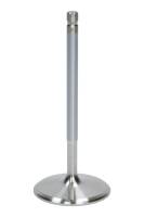 AFR Street Intake Valve - 2.020 in Head - 8 mm Stem - 4.900 in Long - Stainless - Small Block Chevy/Ford
