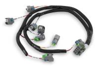Holley EFI EFI Wiring Harness - EV6/USCAR Style Injectors - Holley EFI - Small Block Ford