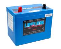 Lifeline Race AGM Battery - 16V - 750 Cranking amp - Top Post Screw-In Terminals - 10.20 in L x 8.30 in H x 6.60 in W