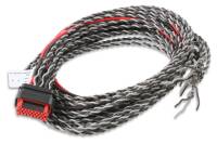 MSD Replacement Ignition Wiring Harness - Holley EFI Systems