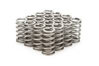 PAC RPM Series Ovate Beehive Valve Spring - 291 lb/in Spring Rate - 0.952 in Coil Bind - 1.083 in OD (Set of 16)