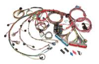 Painless EFI Wiring Harness - Extra Length - GM LS-Series 2003-06
