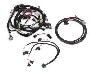 Ignitions & Electrical - Wiring Harnesses - Engine Wiring Harnesses